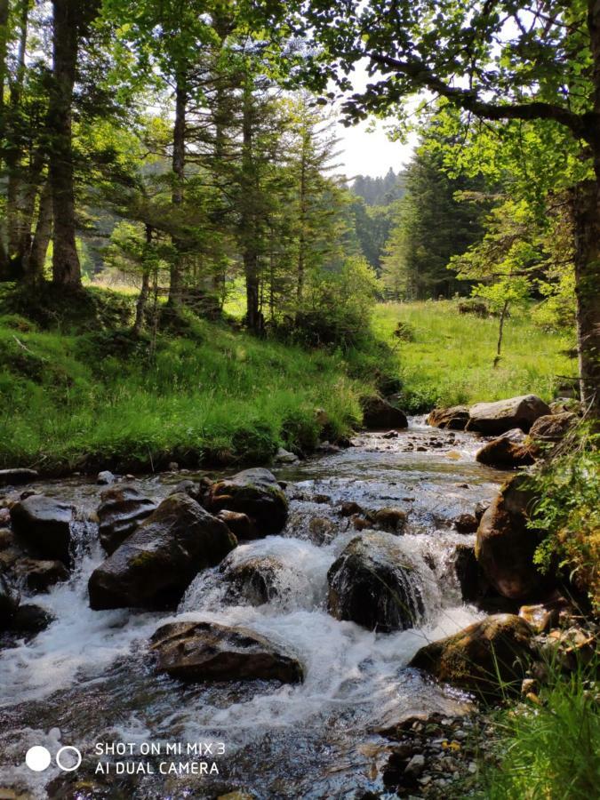 L'Armazan - Studio Pieds De Piste Plat D'Adet Saint-Lary-Soulan Dış mekan fotoğraf